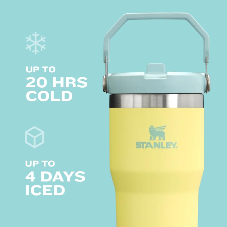 Stanley IceFlow 2.0 Flip Straw Tumbler with Handle 40 oz | Twist On Lid and Flip Up Straw | Leak Resistant Water Bottle | Insulated Stainless Steel | BPA-Free | Black 2.0