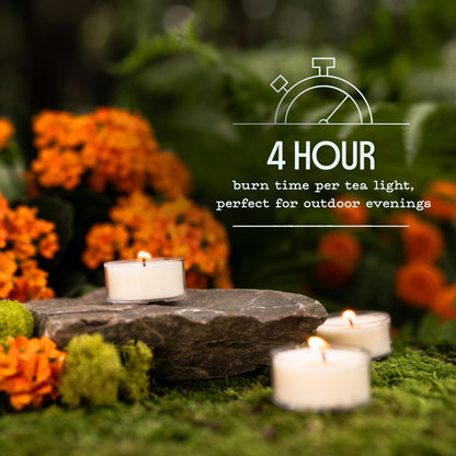 Murphy’s Naturals Mosquito Bug Repellent Tea Light Candles for Outdoor Patio, Citronella & Essential Oils, 4-Hour Burn Time Each, 12-Pack