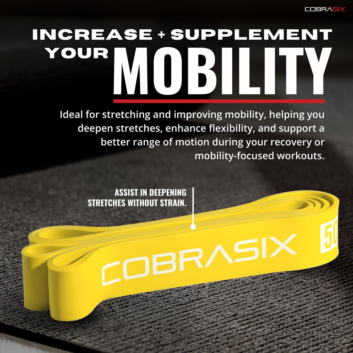 COBRASIX Resistance Bands for Working Out Men and Women | Set of 5 Bands | Resistance Bands for Powerlifting, Stretching, WOD, Strength Training and Pull Ups [5 Piece Bands]