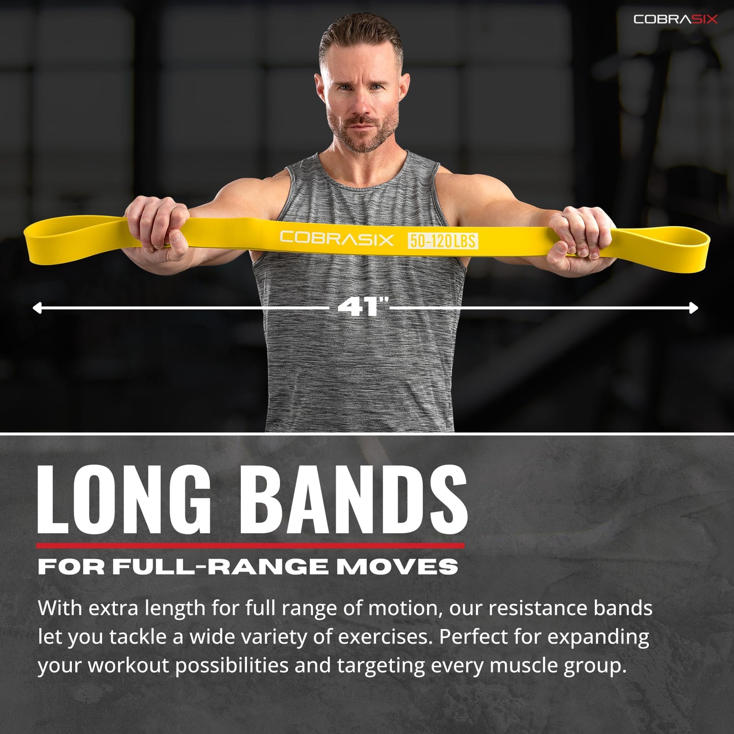 COBRASIX Resistance Bands for Working Out Men and Women | Set of 5 Bands | Resistance Bands for Powerlifting, Stretching, WOD, Strength Training and Pull Ups [5 Piece Bands]